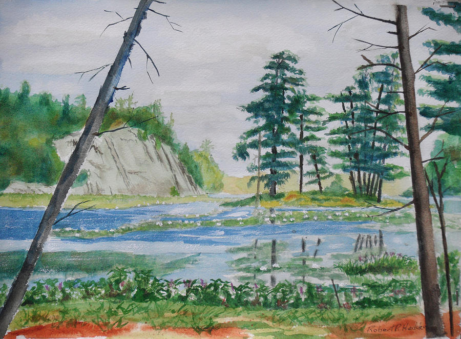 Grass Lake Ny View From Marc A F Baker Island Preserve Painting By Robert P Hedden Fine Art