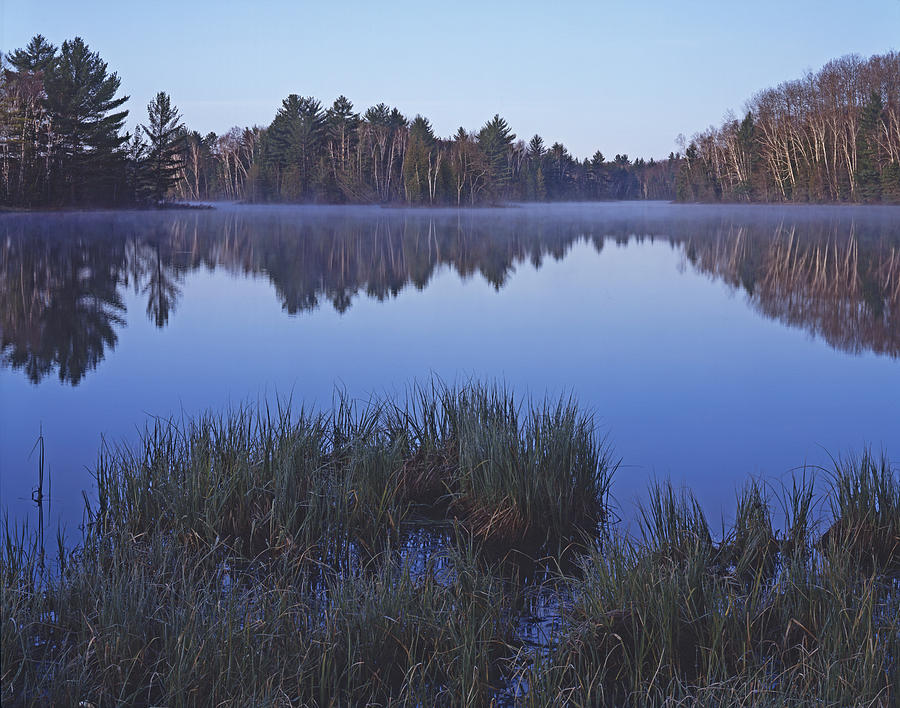Grass Lake Reflection Photograph by Tom Daniel