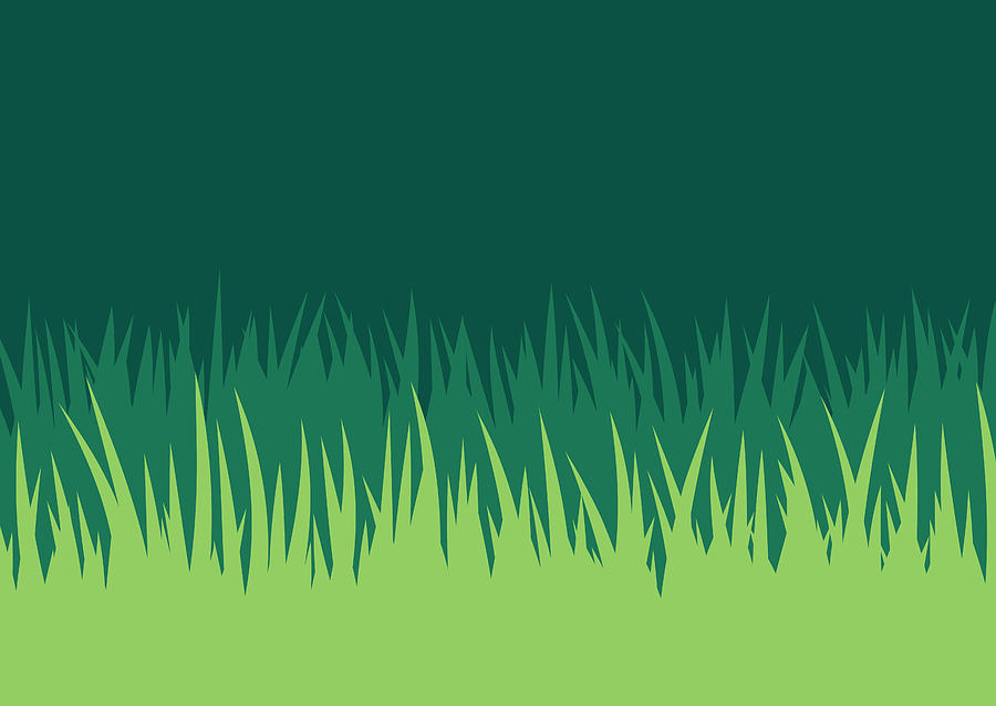 Grass Lawn Background Drawing by Filo