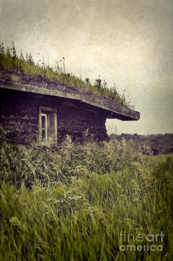 Architecture Photograph - Grass Roof on Cottage by Jill Battaglia
