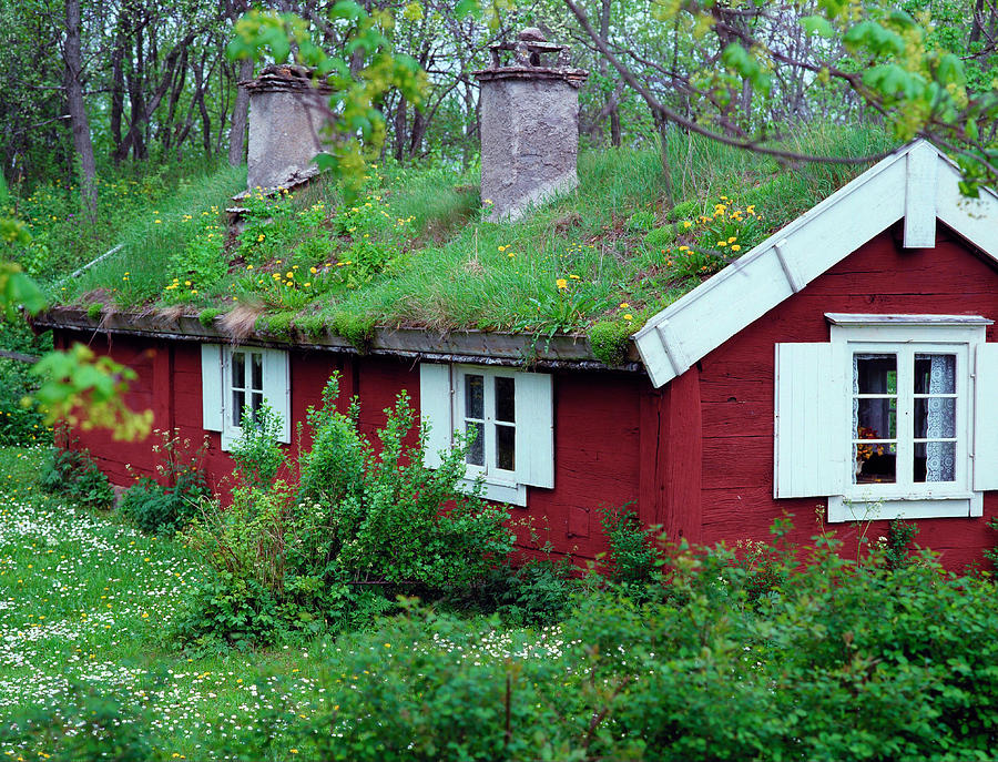 Grass Roof On House. Photograph by Bjorn Svensson/science Photo Library