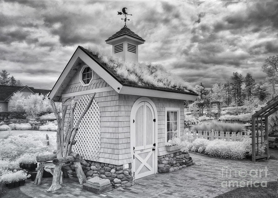 Ir Photograph - Grass Roof Shed by Claudia Kuhn