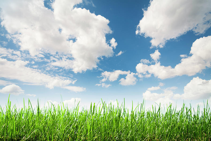 Grass and sky background  stock photo 2058560  Crushpixel