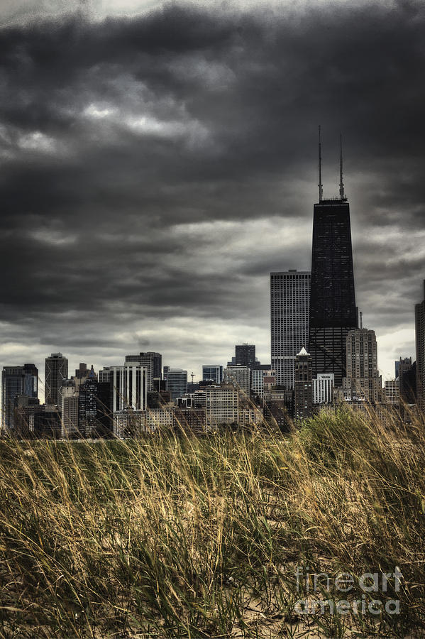 Chicago Photograph - Grasses Along the Skyline by Margie Hurwich