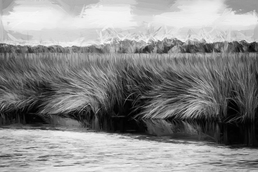 Grasses at Sunset Painted BW Photograph by Rich Franco