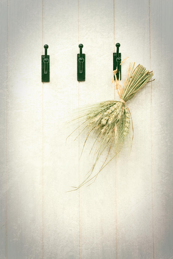 Grass Photograph - Grasses by Amanda Elwell