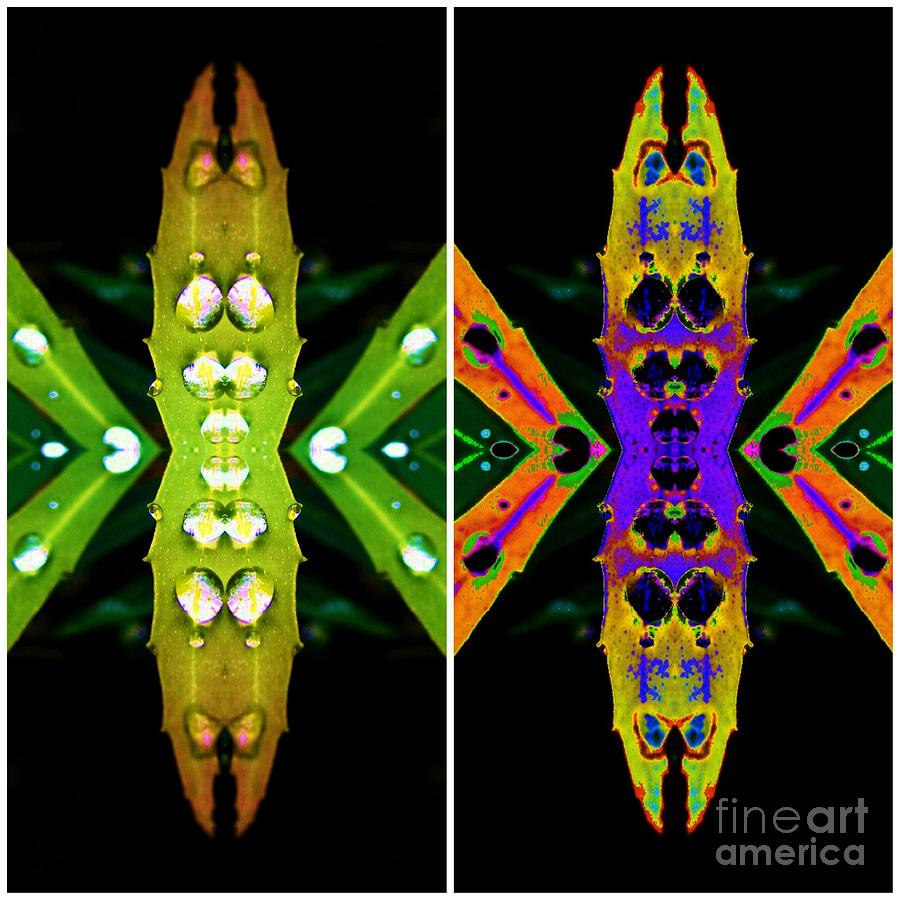 Grasshopper Digital Art - Grasshopper by Lorles Lifestyles Grasshopper Digital Art - Grasshopper by Lorles Lifestyles