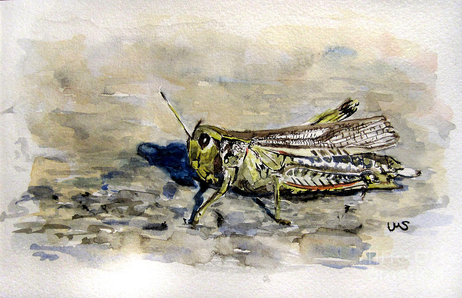 Grasshopper Painting by Ulrike Miesen-Schuermann