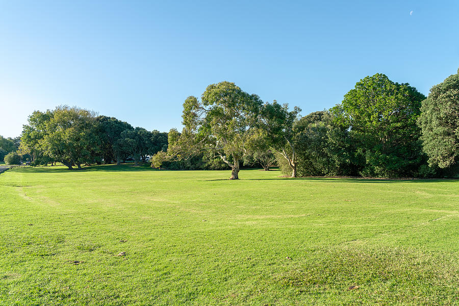 Grassland sky and grass background in a park Photograph by Kehan Chen