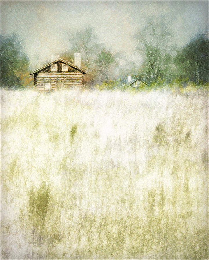 Grasslands Photograph by John Anderson