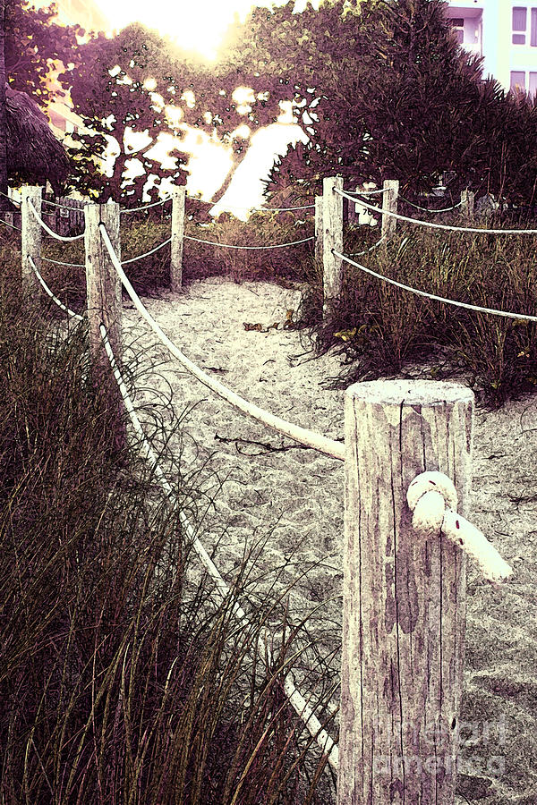 Grassy Beach Post Entrance at Sunset Photograph by Janis Lee Colon