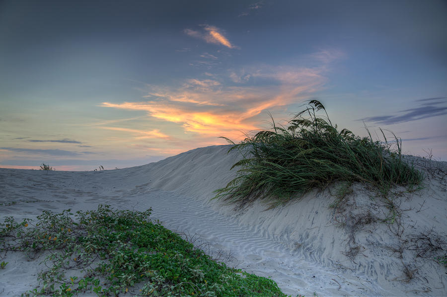 Grassy Dunes at South Padre Island Photograph by Micah Goff