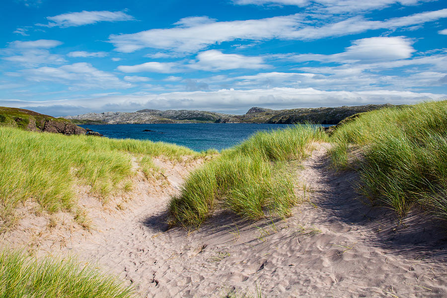 Grassy Dunes At The Scottish Coast Photograph