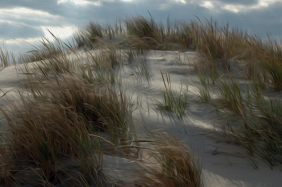 Grassy Dunes Digital Art by Kelvin Booker