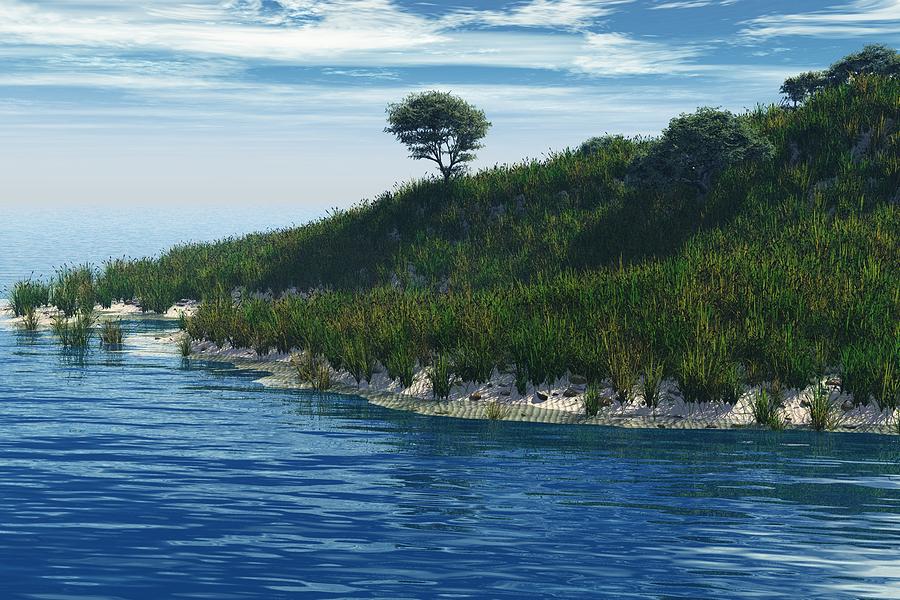 Grassy Island Digital Art by Christopher Smith - Fine Art America