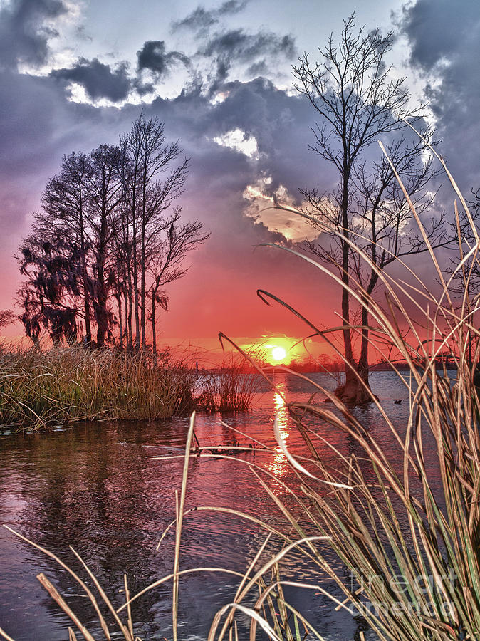 Grassy View Sunset Photograph by Mike Covington