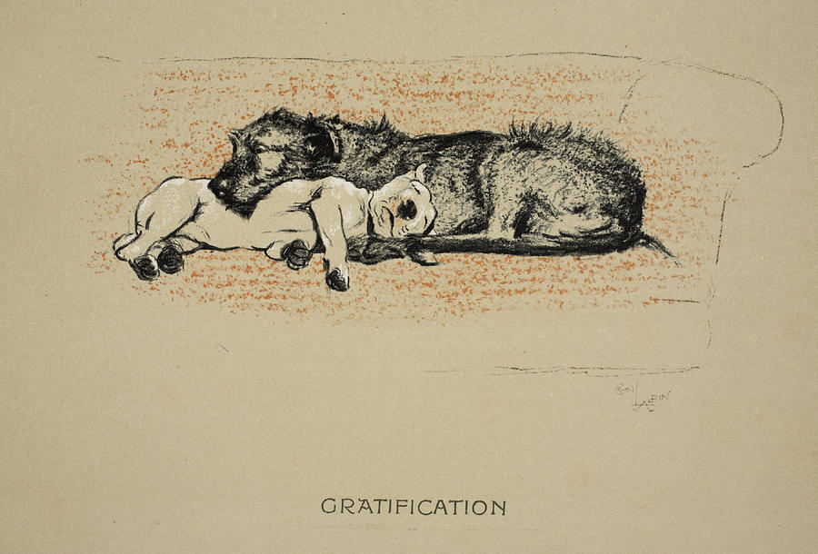 Dog Drawing - Gratification, 1930, 1st Edition by Cecil Charles Windsor Aldin