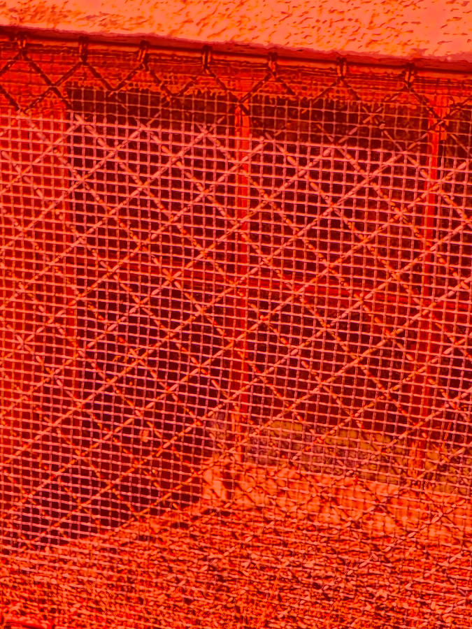 Grating Brilliant orange Photograph by Cathy Anderson