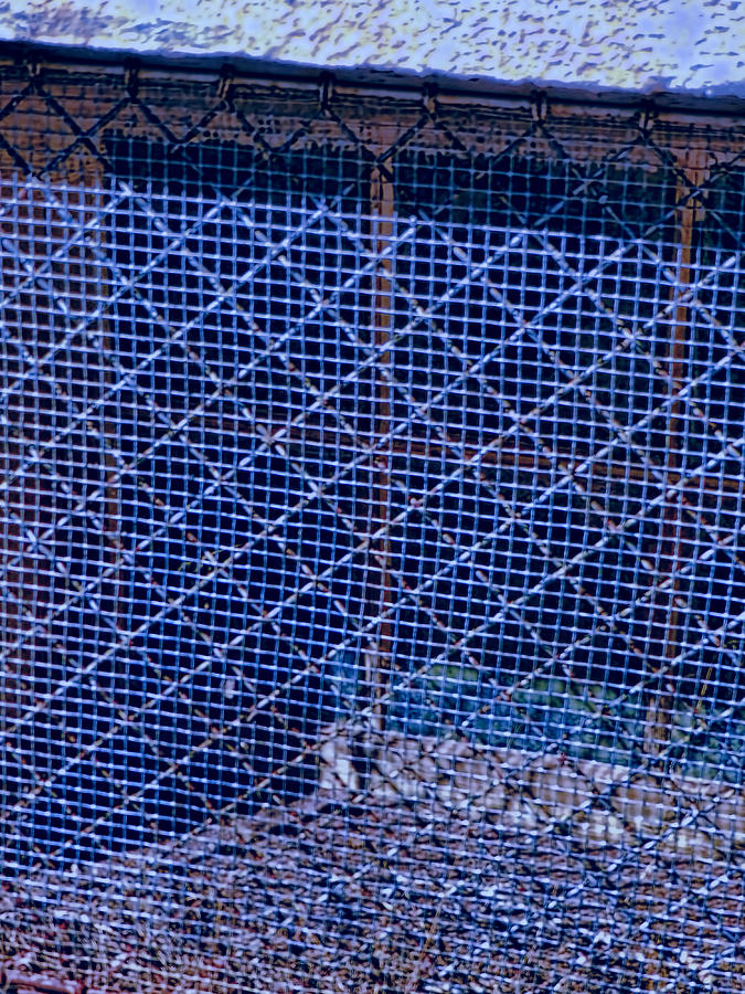 Grating in Blue Photograph by Cathy Anderson