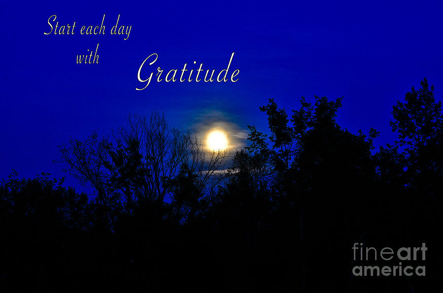 Gratitude Photograph by Gwen Gibson