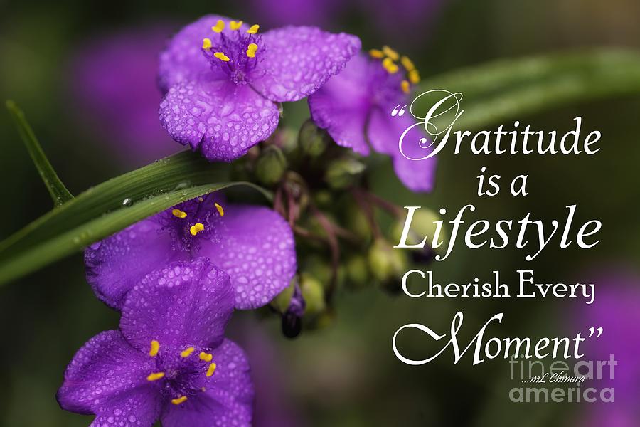 Gratitude is a Lifestyle Photograph by Mary Lou Chmura