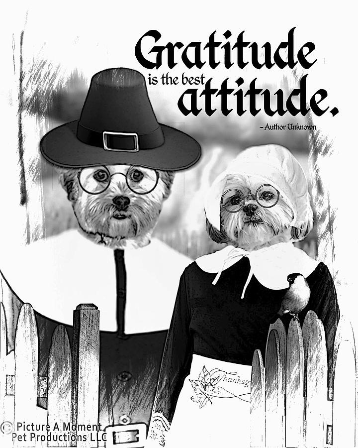 Thanksgiving Cards Digital Art - Gratitude is the best Attitude -2 by Kathy Tarochione