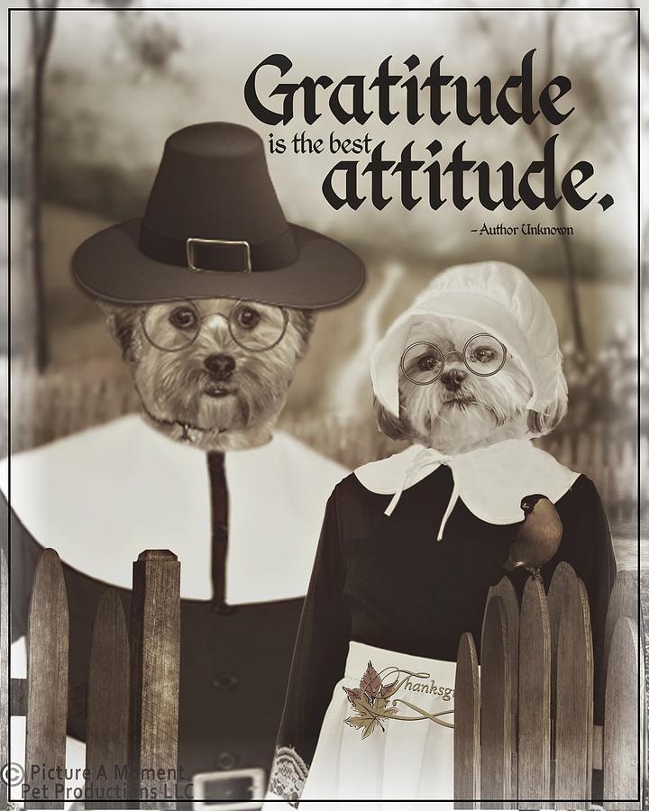 Gratitude is the best Attitude -3 Digital Art by Kathy Tarochione