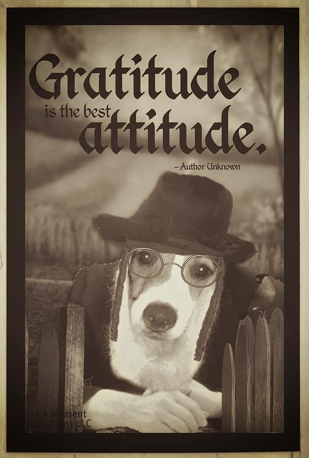 Gratitude is the best Attitude -5 Digital Art by Kathy Tarochione