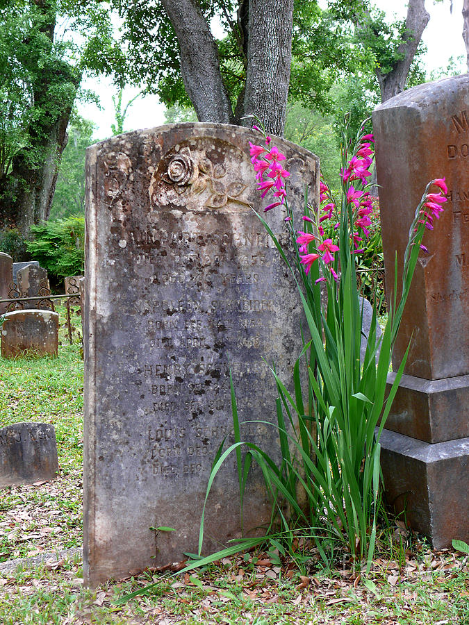 Grave Stone With Pink Flowers Photograph by Jeanne  Woods