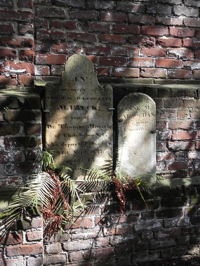 Cemetery Photograph - Grave Stones with Fern by Patricia Greer