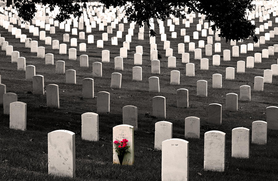 Graves at Arlington National Cemetery Photograph by Don Johnson