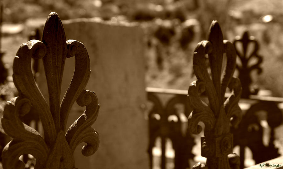 Rod Iron Photograph - Gravesite by Cecily Vermote