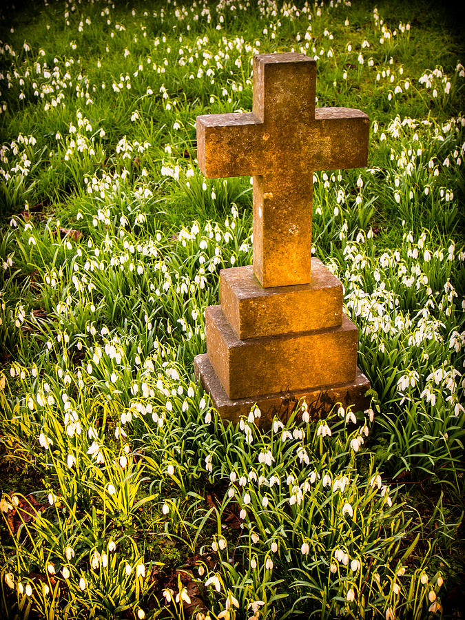 Gravestone with snowdrops Photograph by Mark Llewellyn