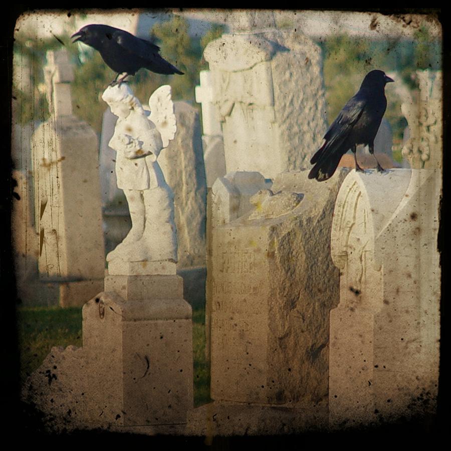 Blackbird Photograph - Graveyard Blackbirds by Gothicrow Images