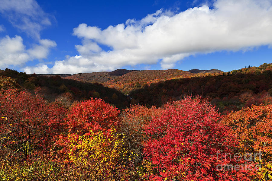 Graveyard Fields In The Mountains Photograph