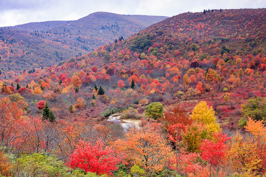 graveyard fields nc