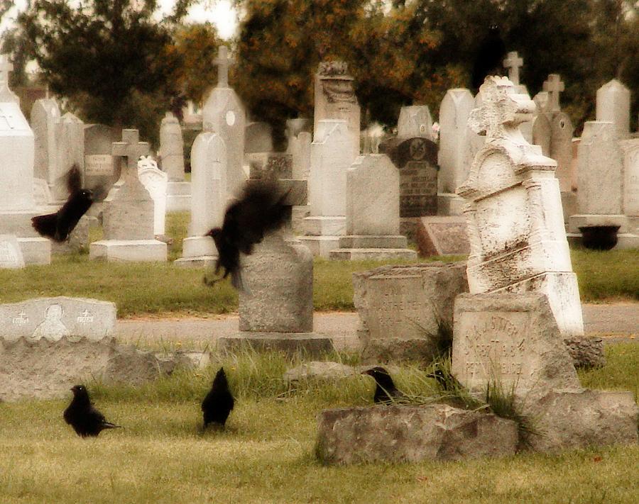 Frolicking Graveyard Crows Photograph By Gothicrow Images - Fine Art 