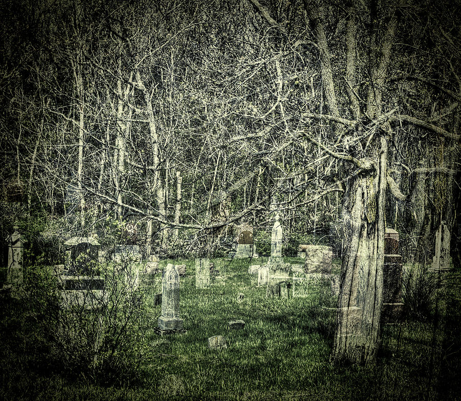 Graveyard With A Past Photograph by Thomas Young