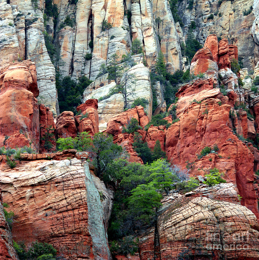 Gray and Orange Sedona Cliff Photograph by Carol Groenen