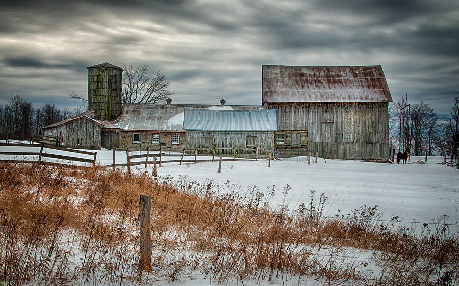 Gray Barn Photograph by Fred LeBlanc