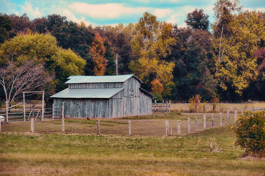 Gray Barn in Autumn Photograph by Jai Johnson