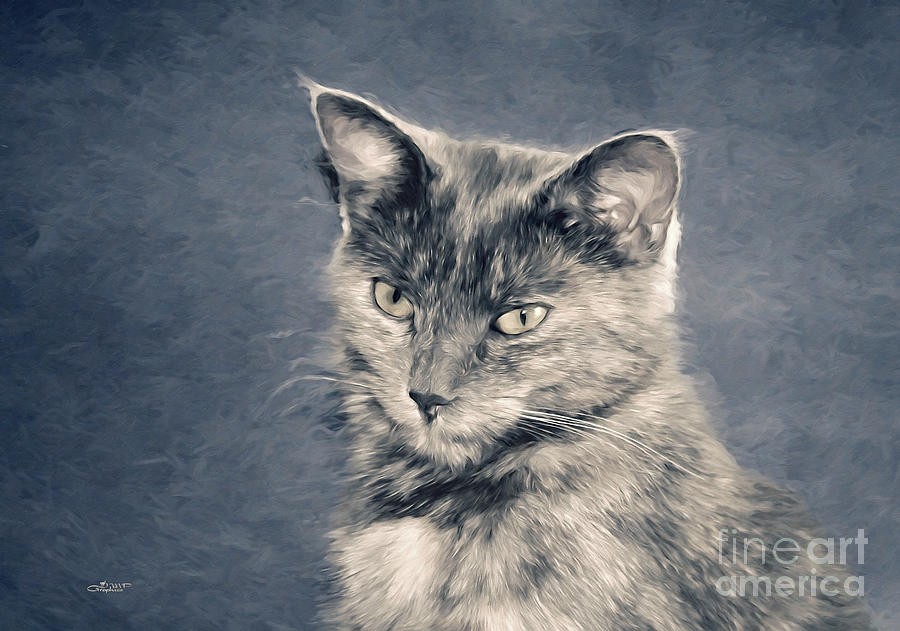 Gray Cat Digital Art by Jutta Maria Pusl