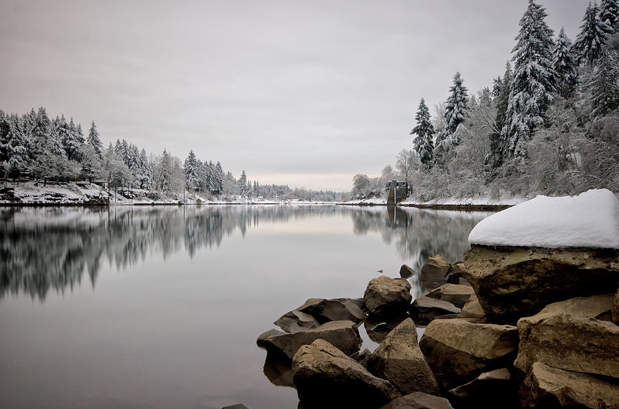 Gray Day in Lake Oswego Photograph by Ronda Kimbrow