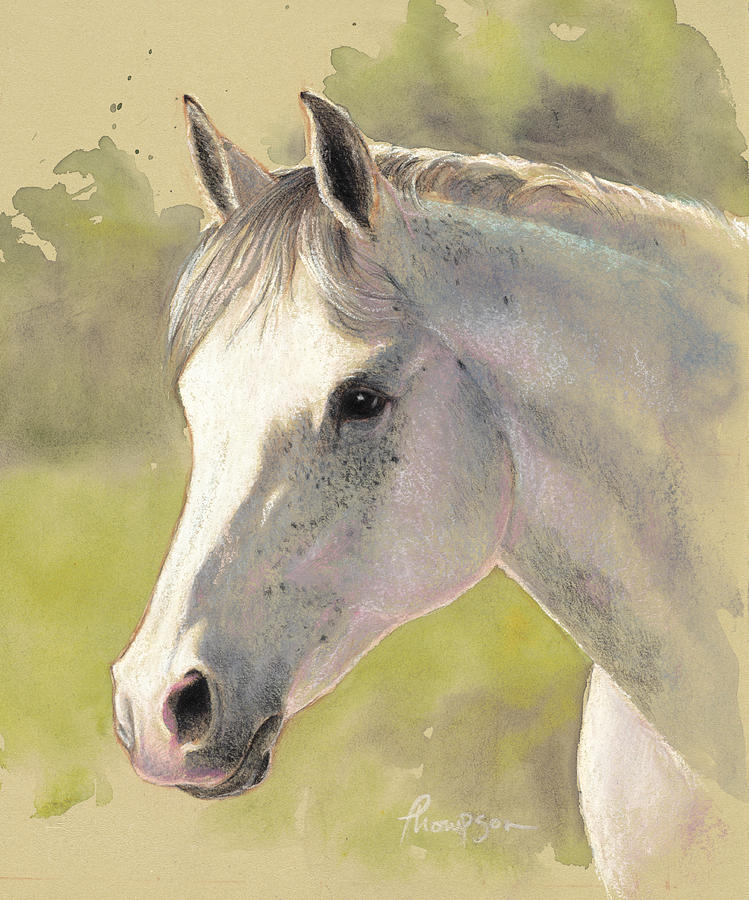 Horse Painting - Gray Gentleman by Tracie Thompson