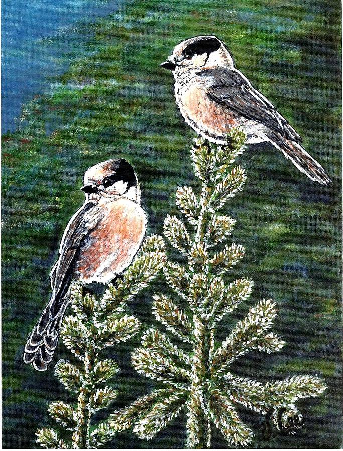 Gray Jays Painting by VLee Watson