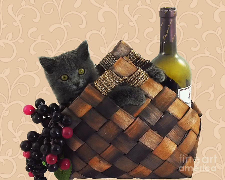 Gray Kitten Wine Basket and Grapes Painting by Robyn Saunders