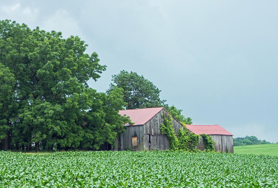 Gray Sky - Red Roofed Barn - Green Fields Photograph by Photographic Arts And Design Studio