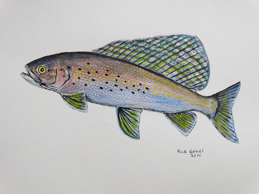 Grayling Painting - Grayling by Richard Goohs
