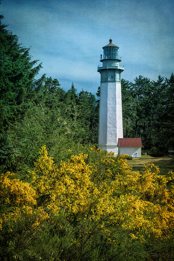 Lighthouse Photograph - Grays Harbor Lighthouse by Joan Carroll