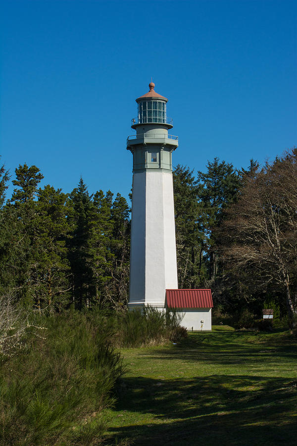Summer Photograph - Grays Harbor Lighthouse by Tikvahs Hope